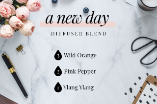 Spring Clean Diffuser Blend Recipe by Wholesome Drops