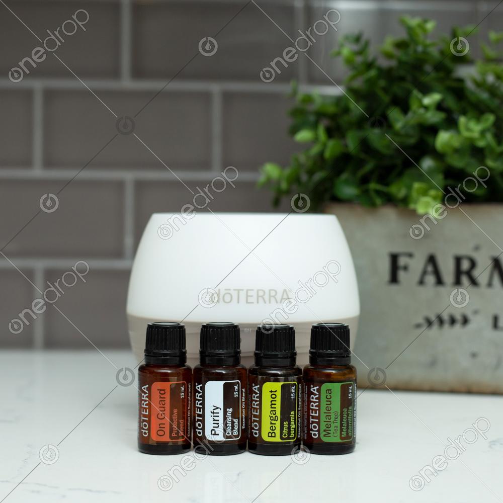 Air Cleansing Diffuser Blend by Brandi Price