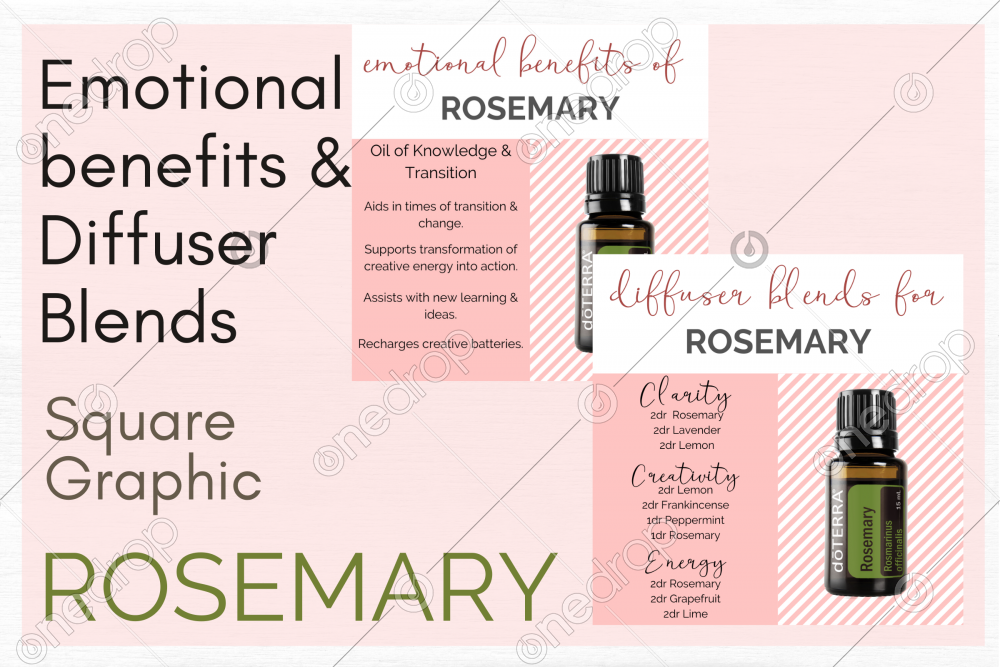 Rosemary Emotional benefits & Diffuser blends Social me by Samantha EbelBrown