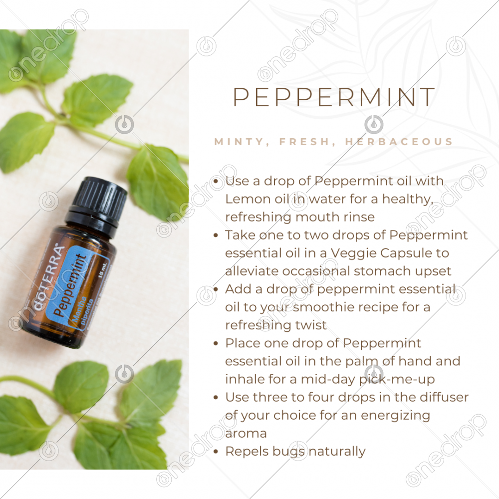 dōTERRA Peppermint uses, diffuser blends, emotional benefit by Jan Kohler