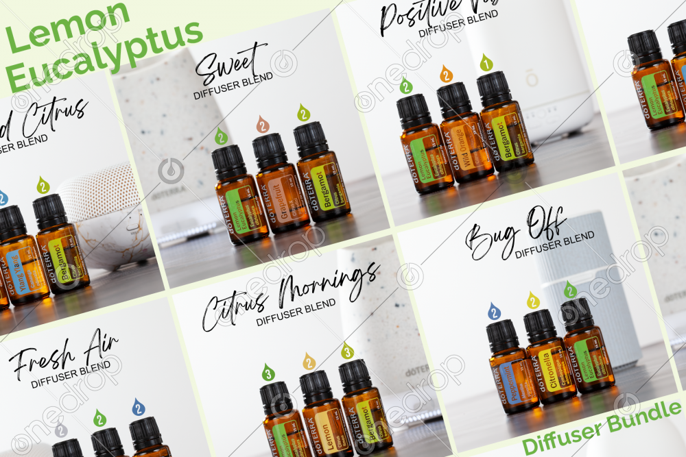 Lemon Eucalyptus Diffuser Blend Bundle by Amber Clemons