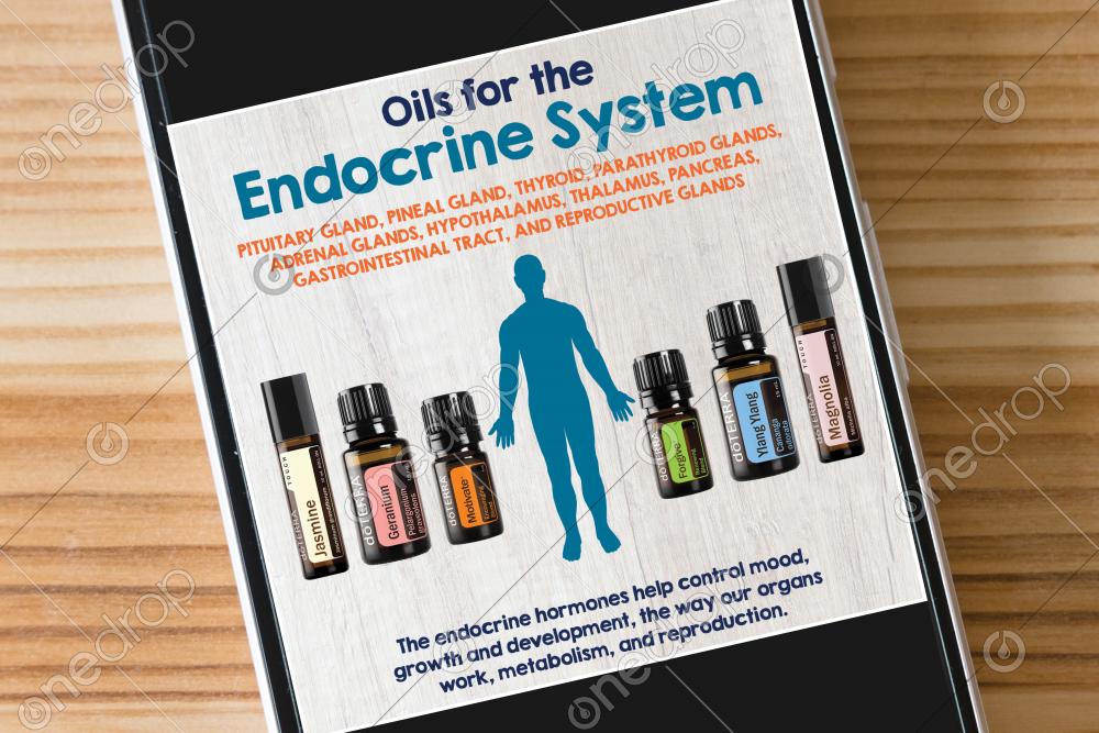 Oils for Endocrine System by Maggie Spangler