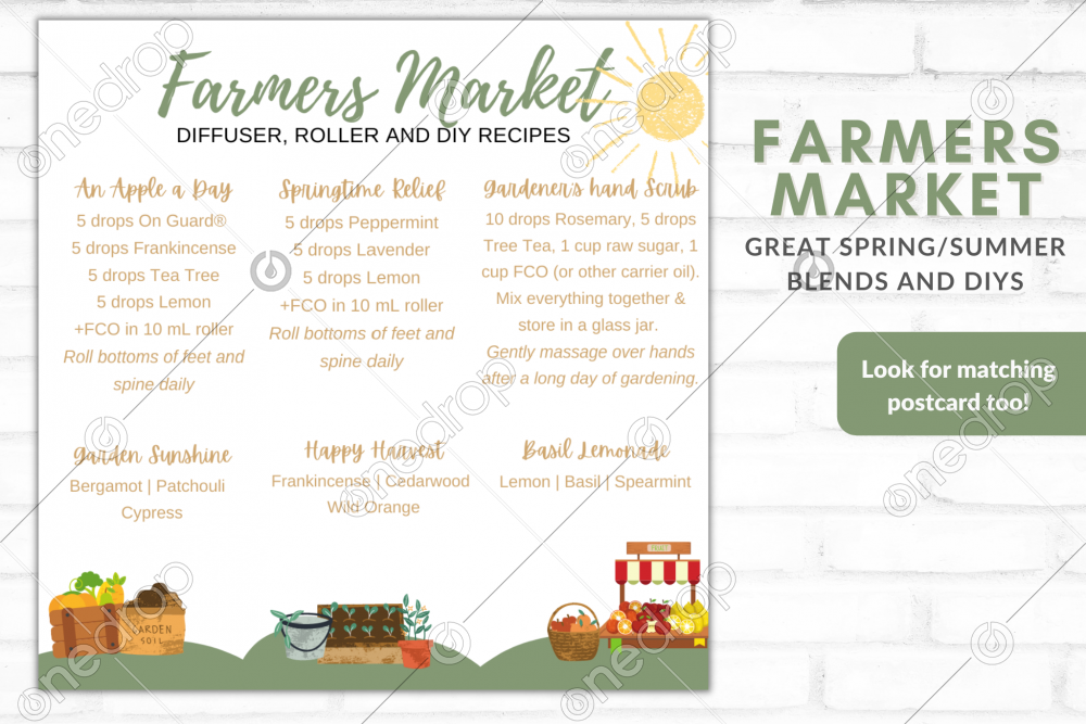 Farmers Market Recipes by Amy Wheeler
