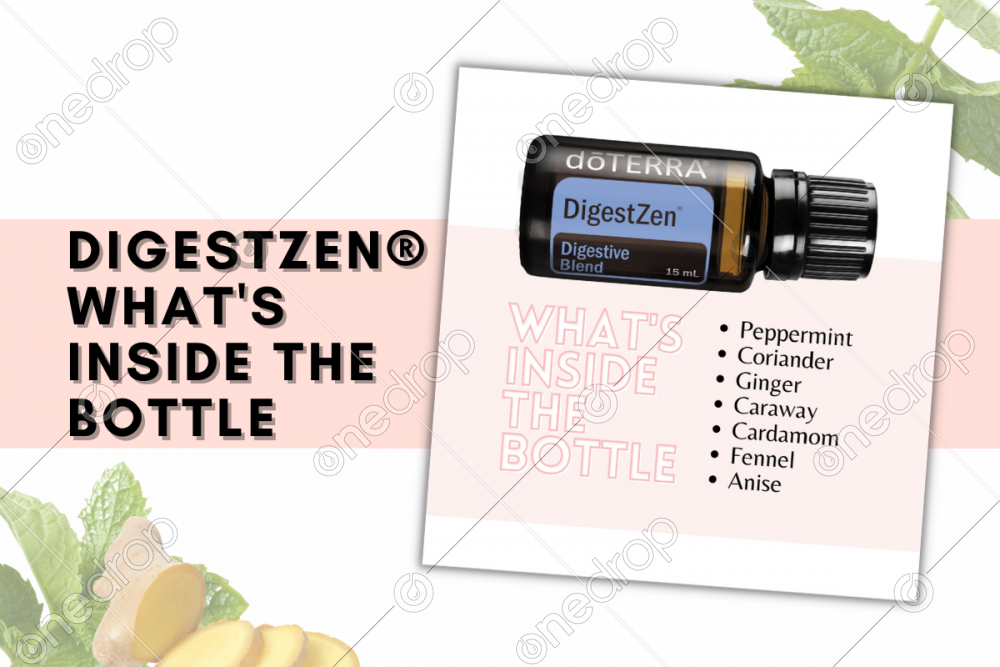 dōTERRA DigestZen WHAT'S INSIDE THE BOTTLE? by Natali Pineda
