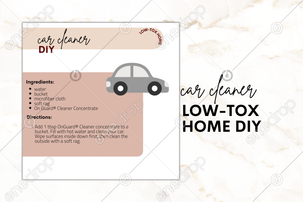 DIY Car Cleaner [LowTox Home Collection] by Tayci Mecham