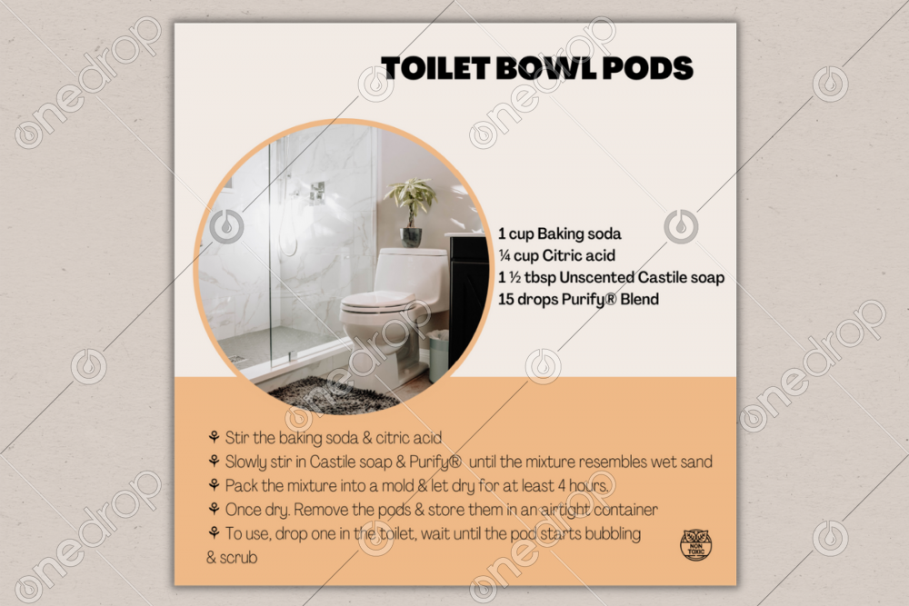 Toilet Bowl Pods by Latifa Majedi
