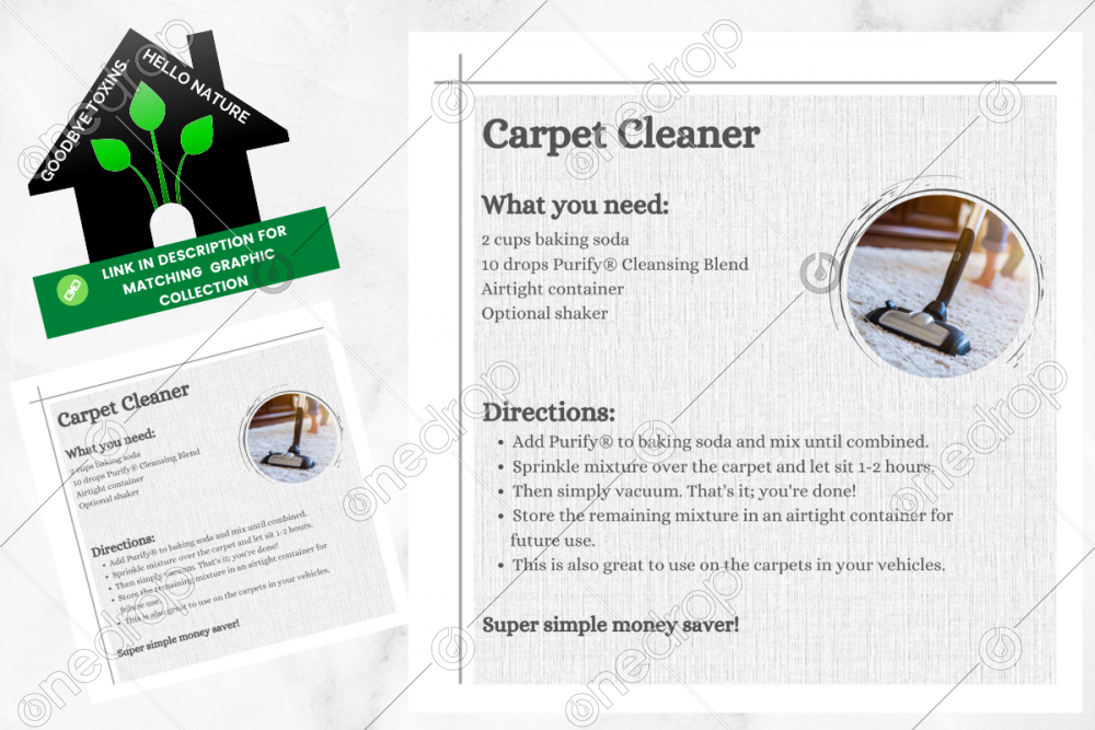 DIY Carpet Cleaner Goodbye Toxins by Louise Mulholland