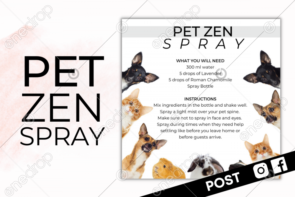 PET ZEN SPRAY by Natali Pineda