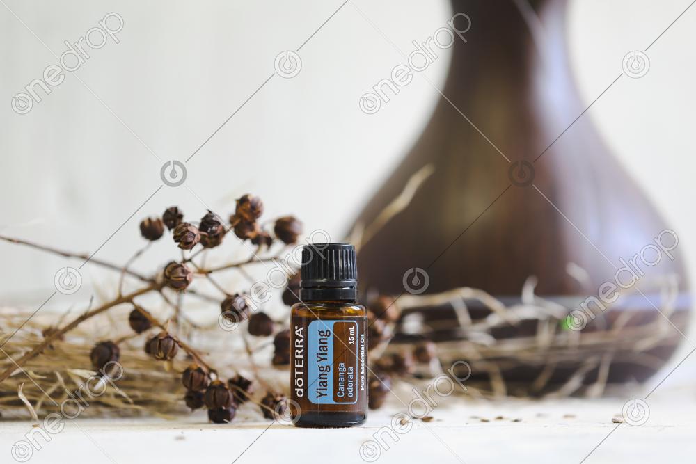 Ylang Ylang with diffuser and dried flowers and leaves by Casey Kent