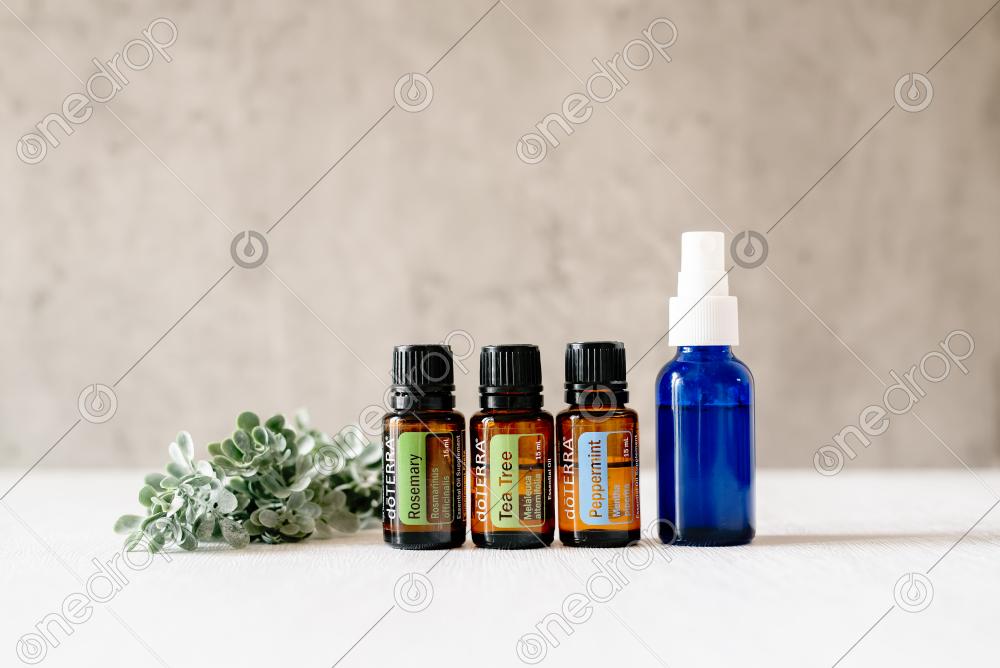 DIY Hair Spritz Rosemary, dōTERRA Tea Tree and dōTERRA Pe by Melanie