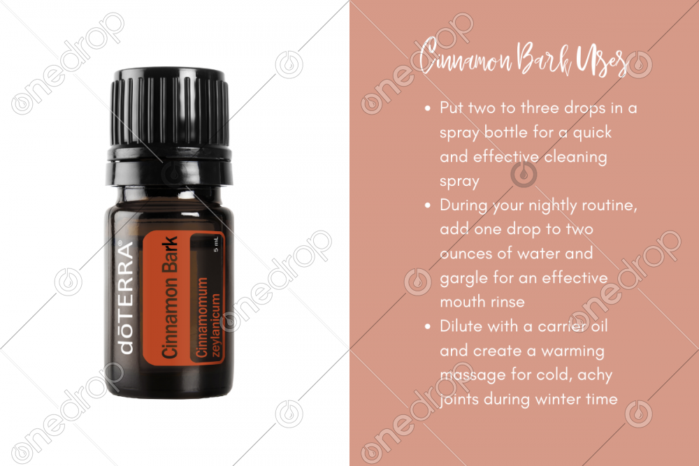 Cinnamon Bark Uses by Debora Tesauro