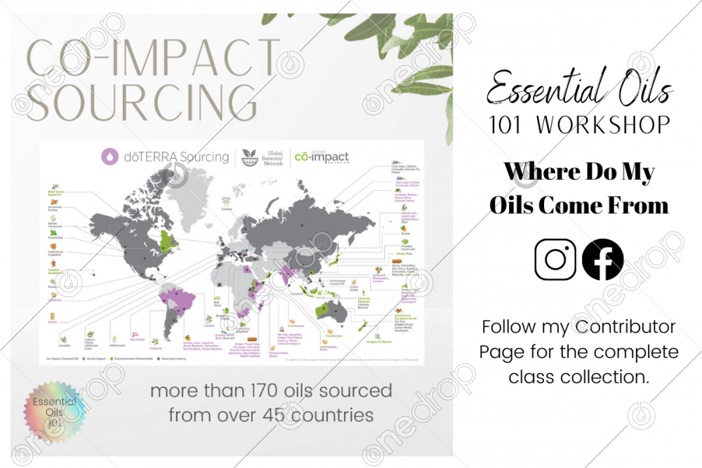 EO 101 Workshop Co Impact Sourcing By Summer Livingston