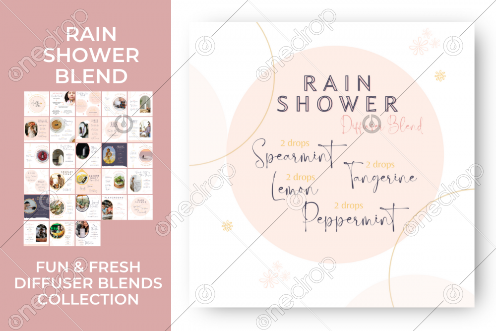 Rain Shower Diffuser Blend I Fun & Fresh by Jess Shore