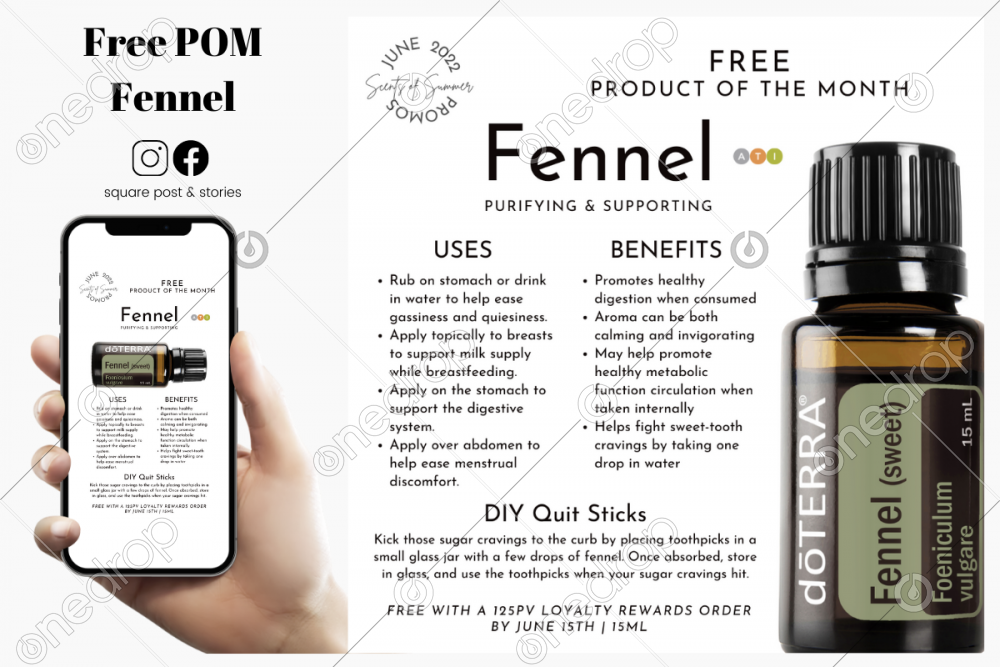 June FREE POM Fennel By Summer Livingston