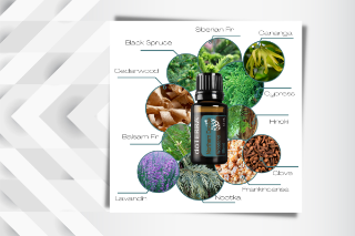Inside Adaptiv® Oil Blend by Jess Tunis