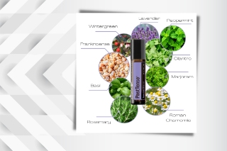 Inside Adaptiv® Oil Blend by Jess Tunis