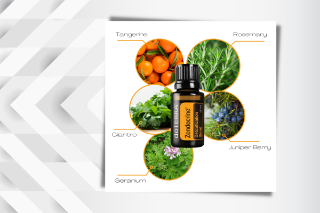 Inside Adaptiv® Oil Blend by Jess Tunis