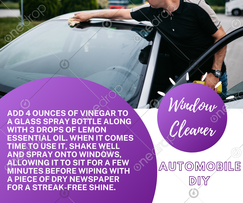 Automobile DIY Window Cleaner by Christy St Clair