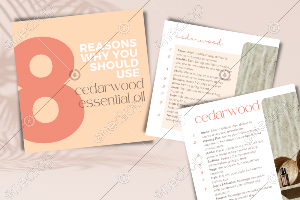 8 Reasons why you should use Cedarwood by Jess Tunis