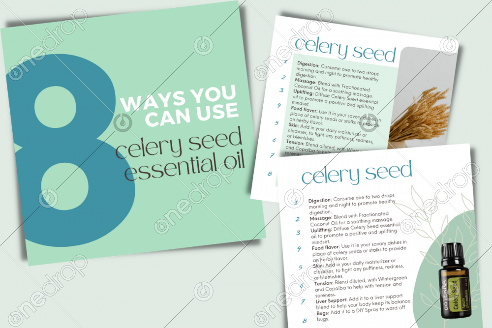Celery Seed Oil Uses by Jess Tunis