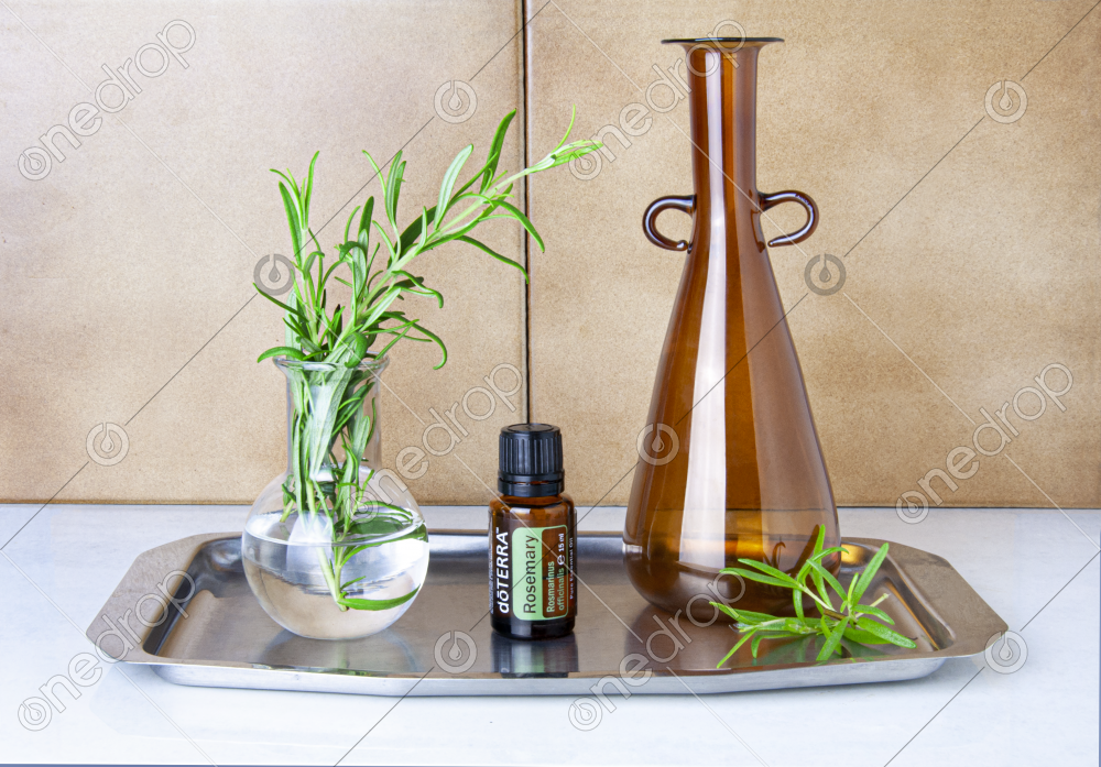 Essential oils in the kitchen Rosemary by Hermi