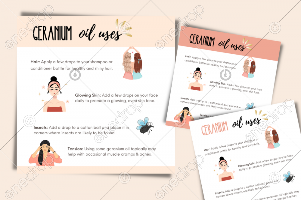 Illustrated Geranium Oil Uses by Jess Tunis