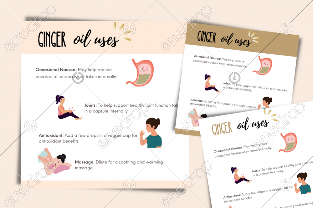 Illustrated Ginger Oil Uses by Jess Tunis