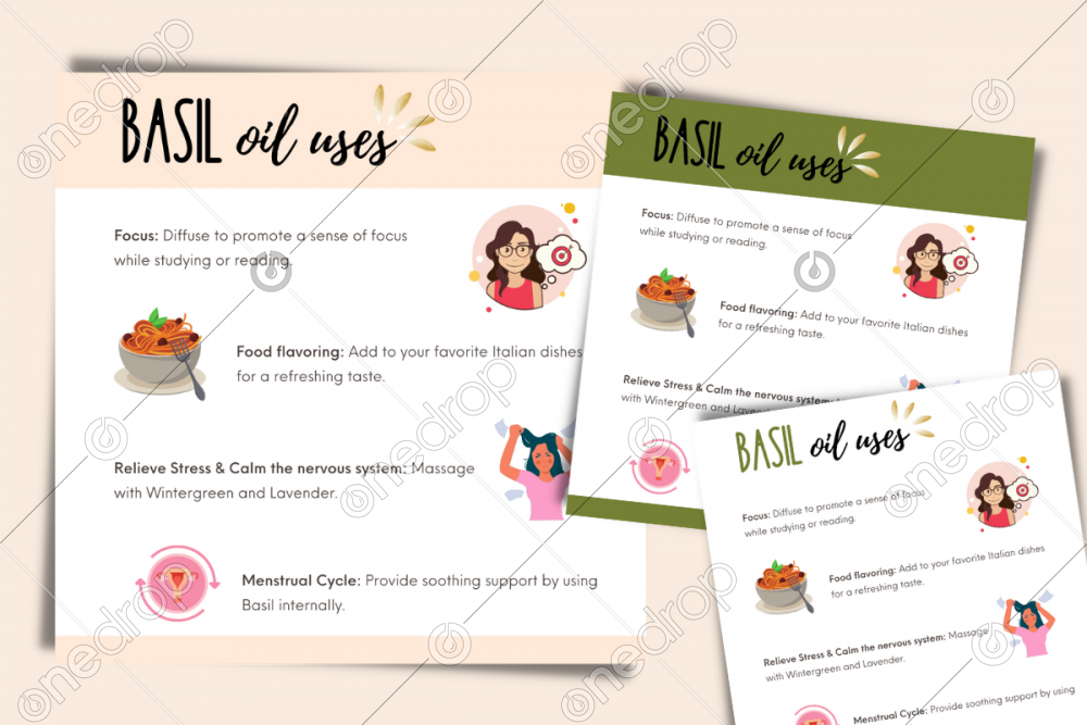 Illustrated Basil Oil Uses by Jess Tunis