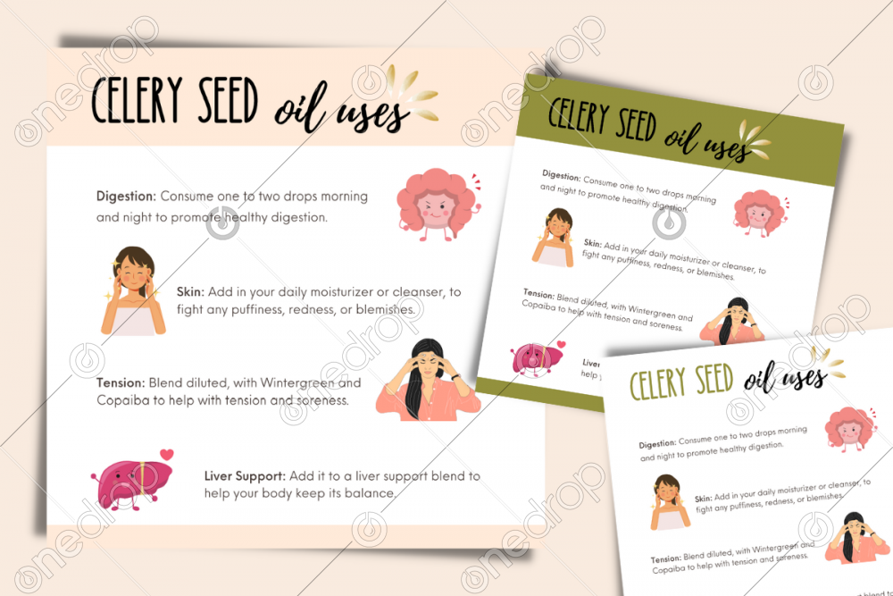 Illustrated Celery Seed Oil Uses by Jess Tunis