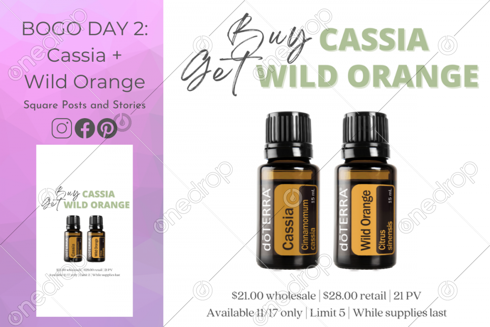 Thursday BOGO Cassia Wild Orange By Summer Livingston