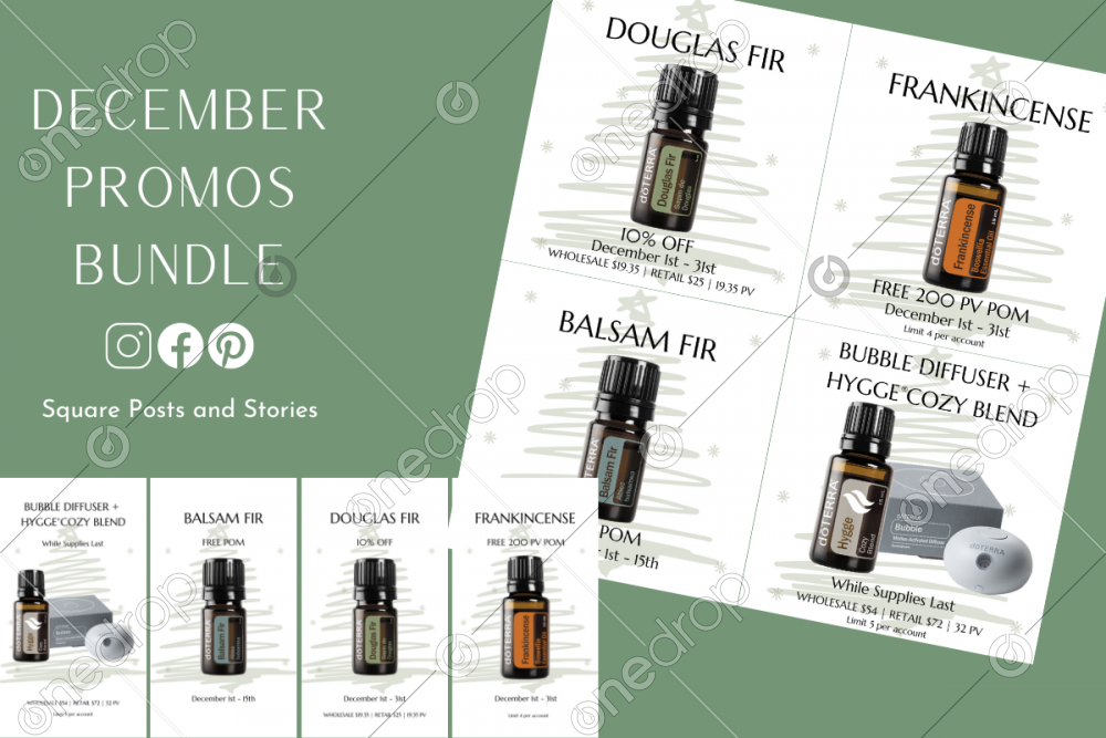 December Promos Bundle By Summer Livingston