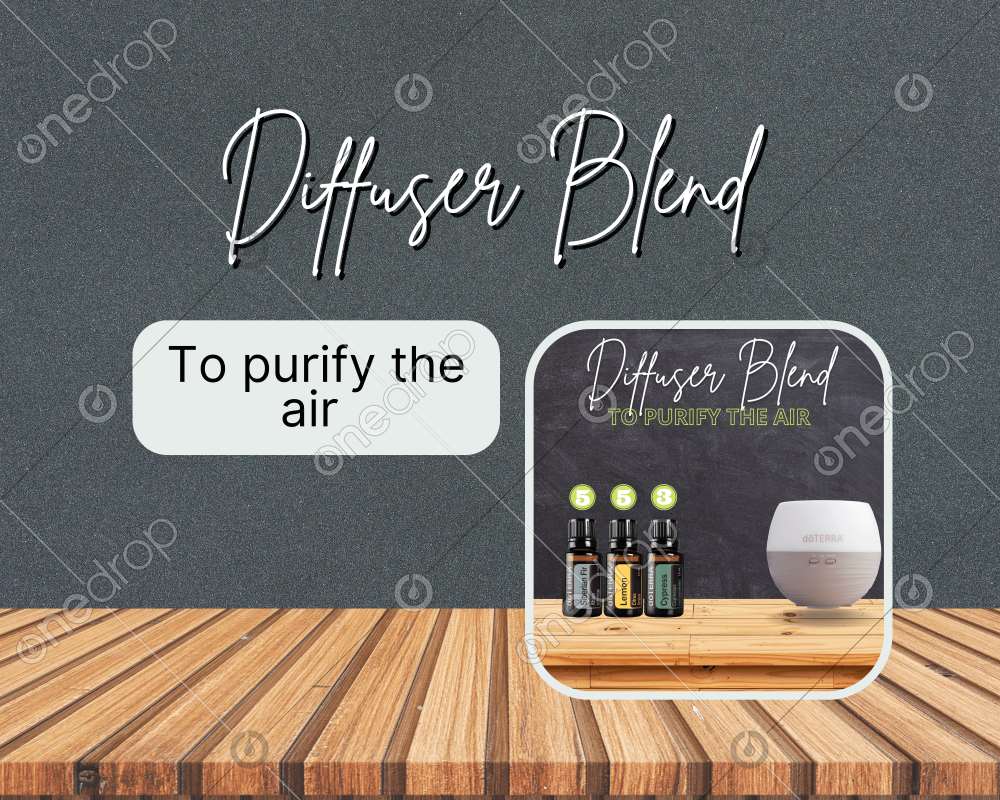 Diffuser Blend To purify the air by Roberta Primay