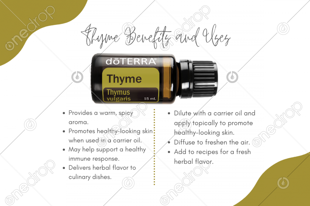 Thyme Benefits and Uses by Debbie Hills