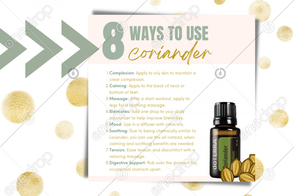 8 Ways to use Coriander by Jess Tunis