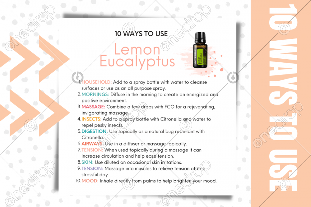 10 Ways to use Lemon Eucalyptus Oil by Jess Tunis