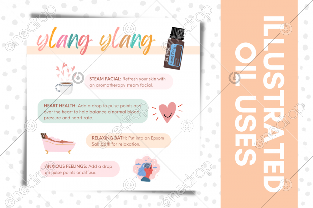 Illustrated Ylang Ylang Oil Uses By Jess Tunis