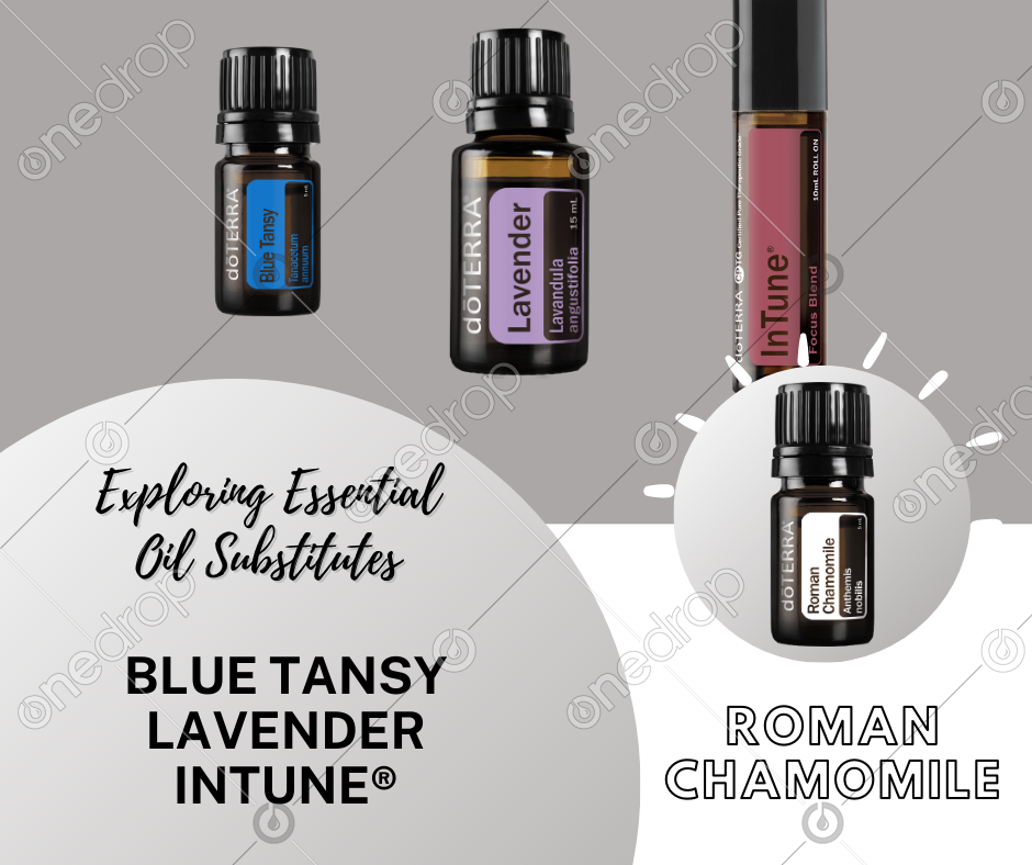 Roman Chamomile Substitutes Blue Tansy, Lavender, InTune by Christy