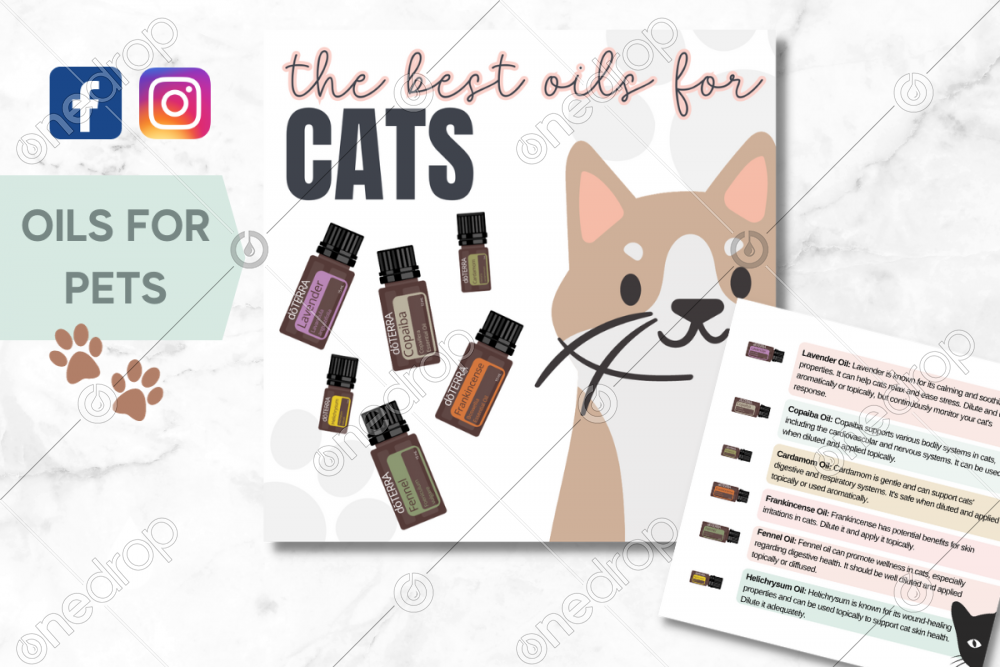 Oils for Pets Best Essential Oils for Cats by Jess Tunis