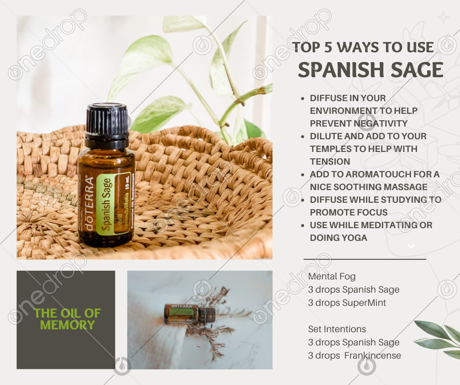 Spanish Sage, Ways To Use, Diffuser Blends by Jennifer Morales