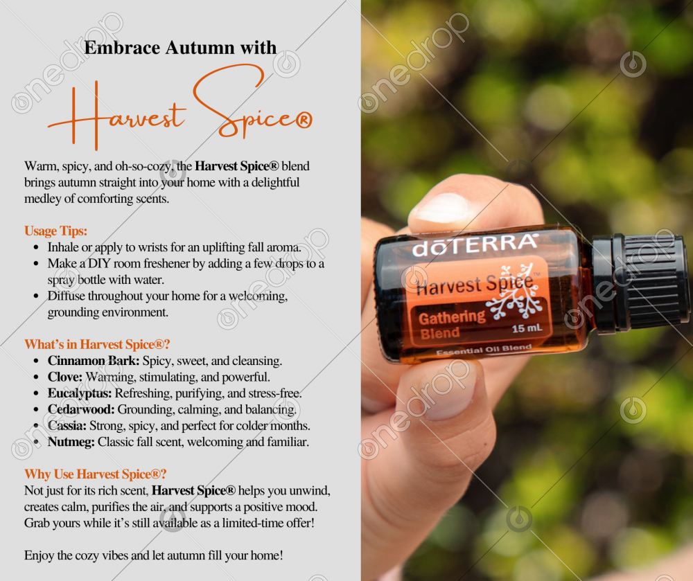 Cozy Autumn Vibes: Embrace the Season with Harvest Spice by Christy St ...