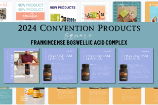 doTERRA RISE コンベンション2024 doTERRA JAPAN convention 2024 team HOPE Fukushima 🌿テーマ