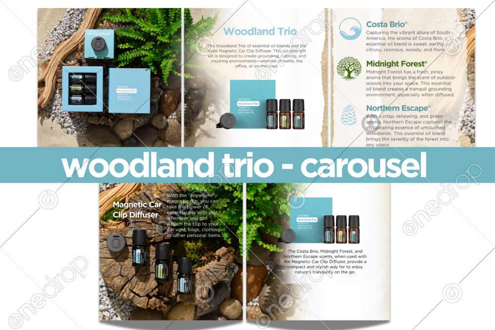 Woodland Trio by Jan Kohler - One Drop